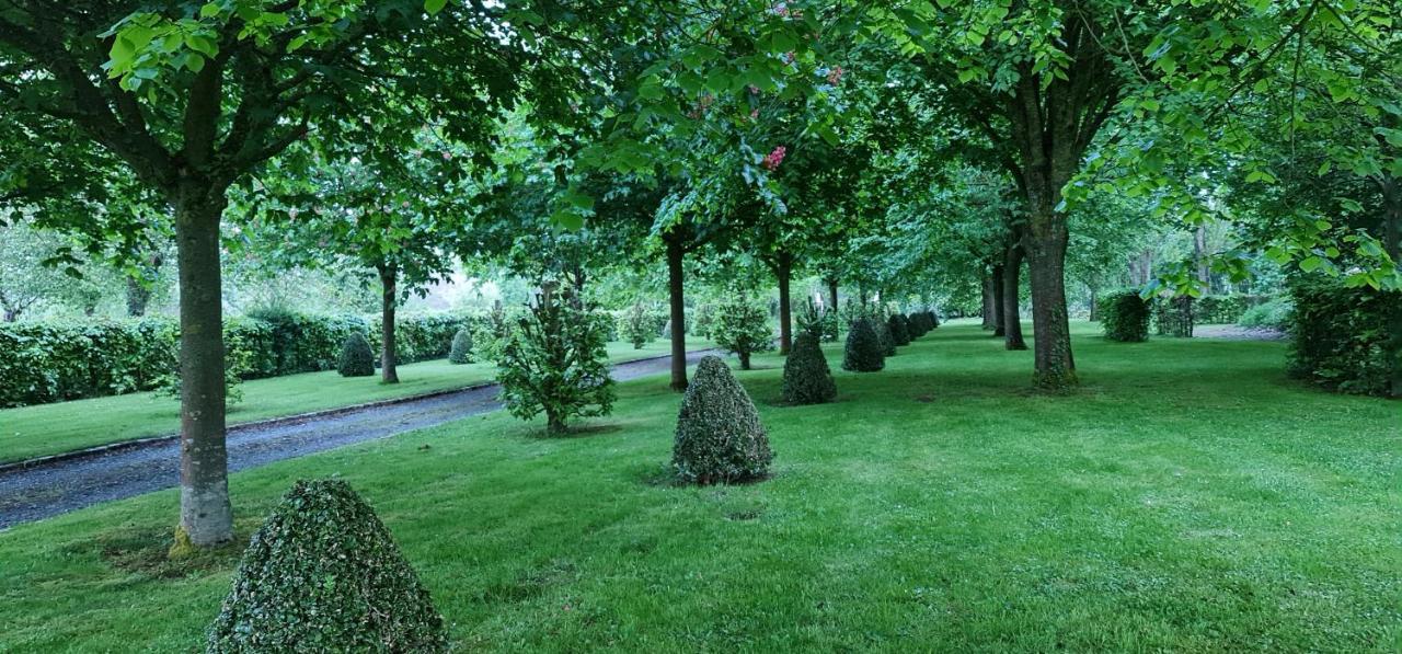 Le Manoir Des Marronniers Hotel Sully  Ngoại thất bức ảnh